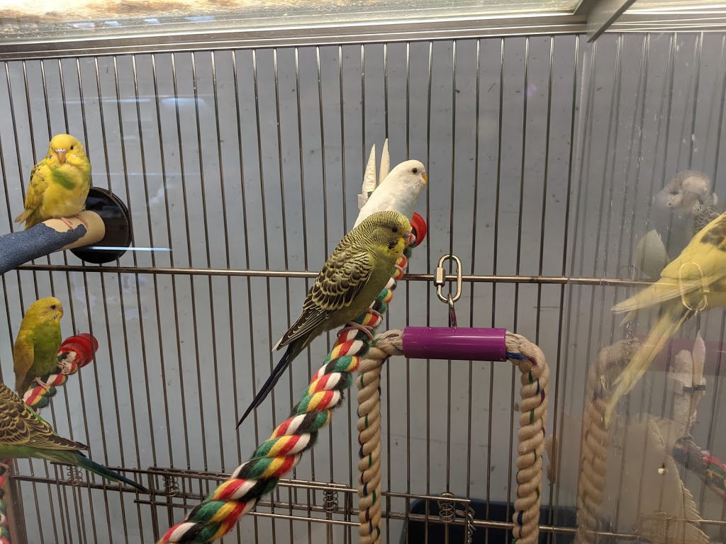 PetSmart | 13916 137 Ave NW, Edmonton, AB T5L 5H1, Canada | Phone: (780) 406-0827