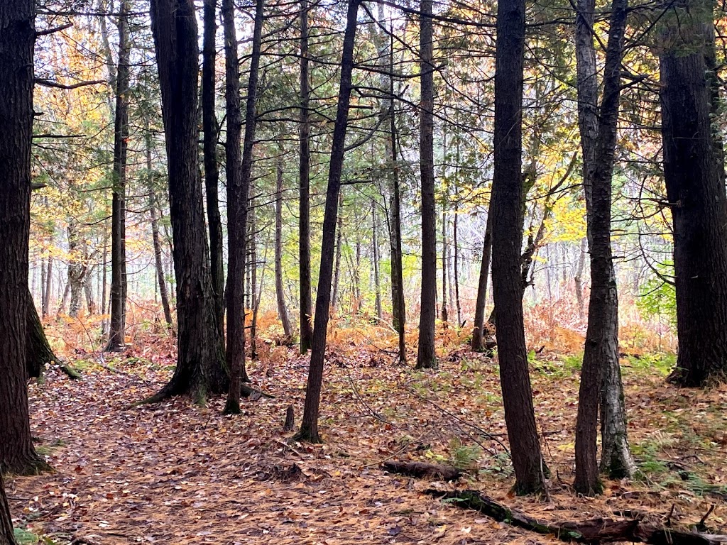 Voyageur Provincial Park | 1313 Front Rd, Chute-à-Blondeau, ON K0B 1B0, Canada | Phone: (613) 674-2825
