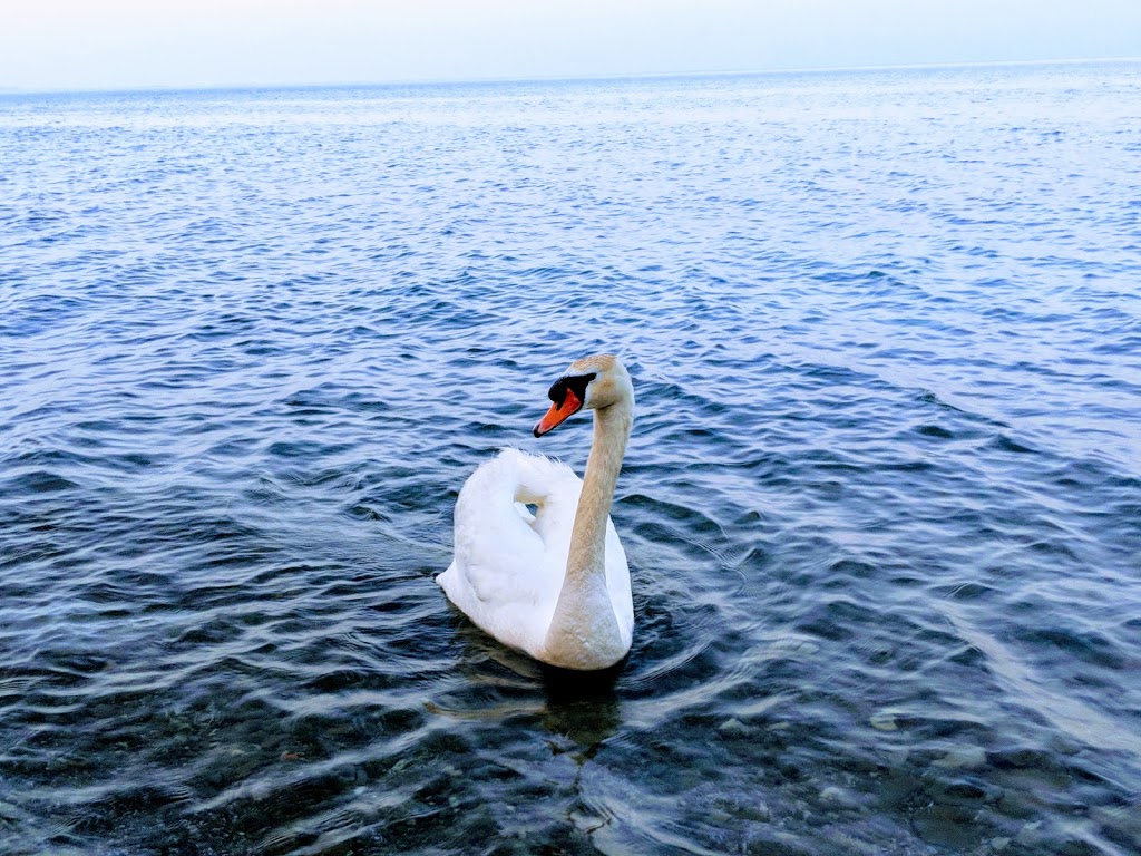 Meadow Wood Park | Mississauga, ON L5J 4T2, Canada
