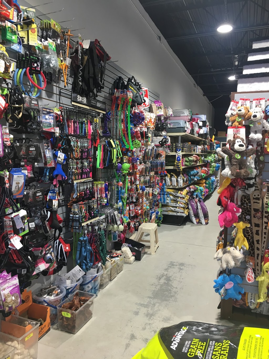 Animo-Nourri | 460-B Chemin de la Grande-Ligne, Rigaud, QC J0P 1P0, Canada | Phone: (450) 451-4828