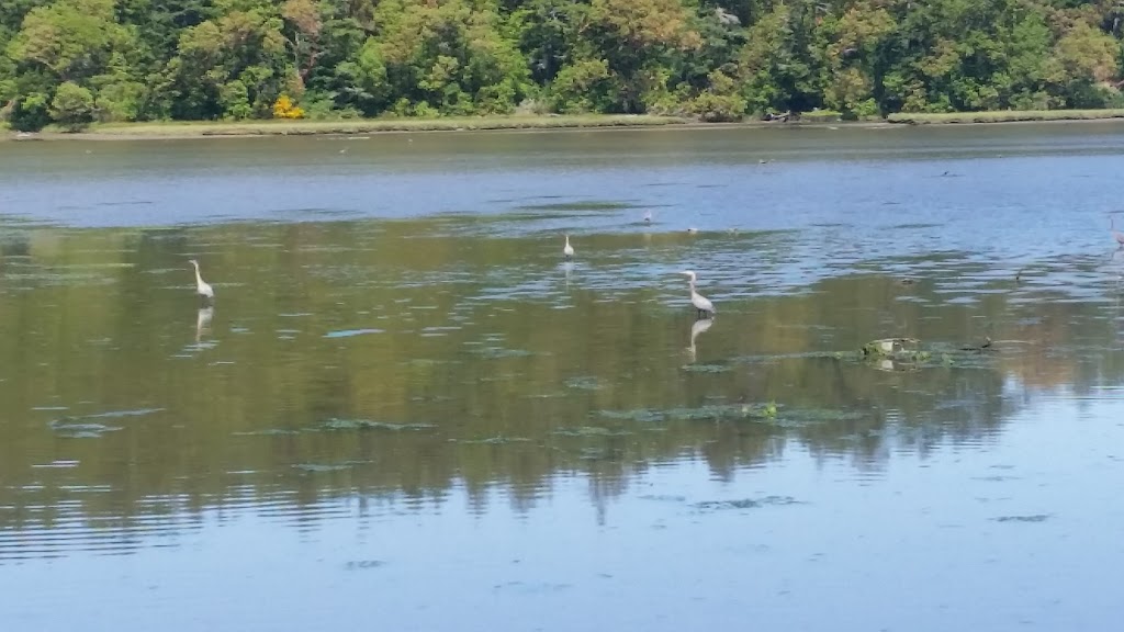 Wittys Lagoon Regional Park - Metchosin Road Parking Lot | 3920 Metchosin Rd, Victoria, BC V9C 4A5, Canada