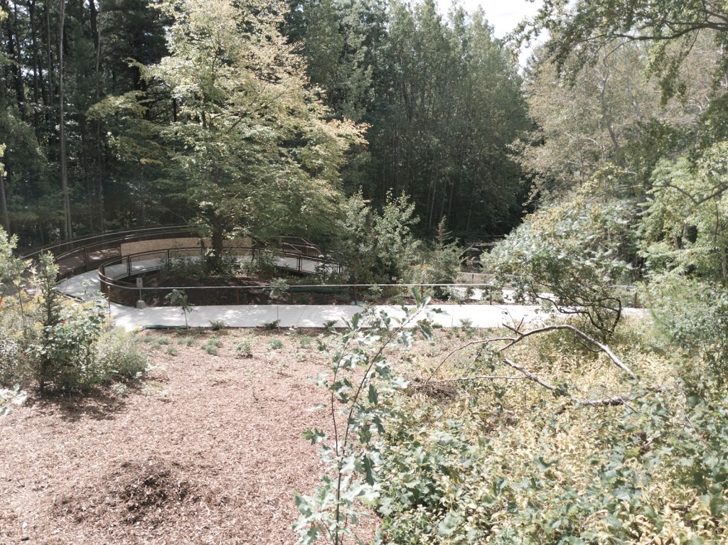 Valley Land Trail | Unnamed Road, Scarborough, ON M1C 1A4, Canada | Phone: (416) 287-8872