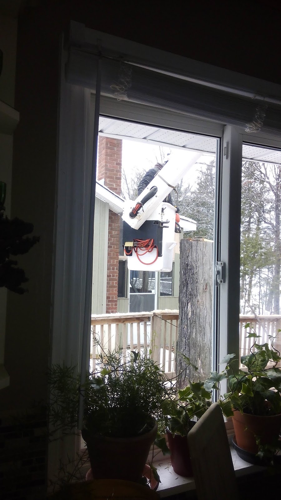Stittsville Tree Service | 3573 Old Almonte Rd, Carp, ON K0A 1L0, Canada | Phone: (613) 296-9000