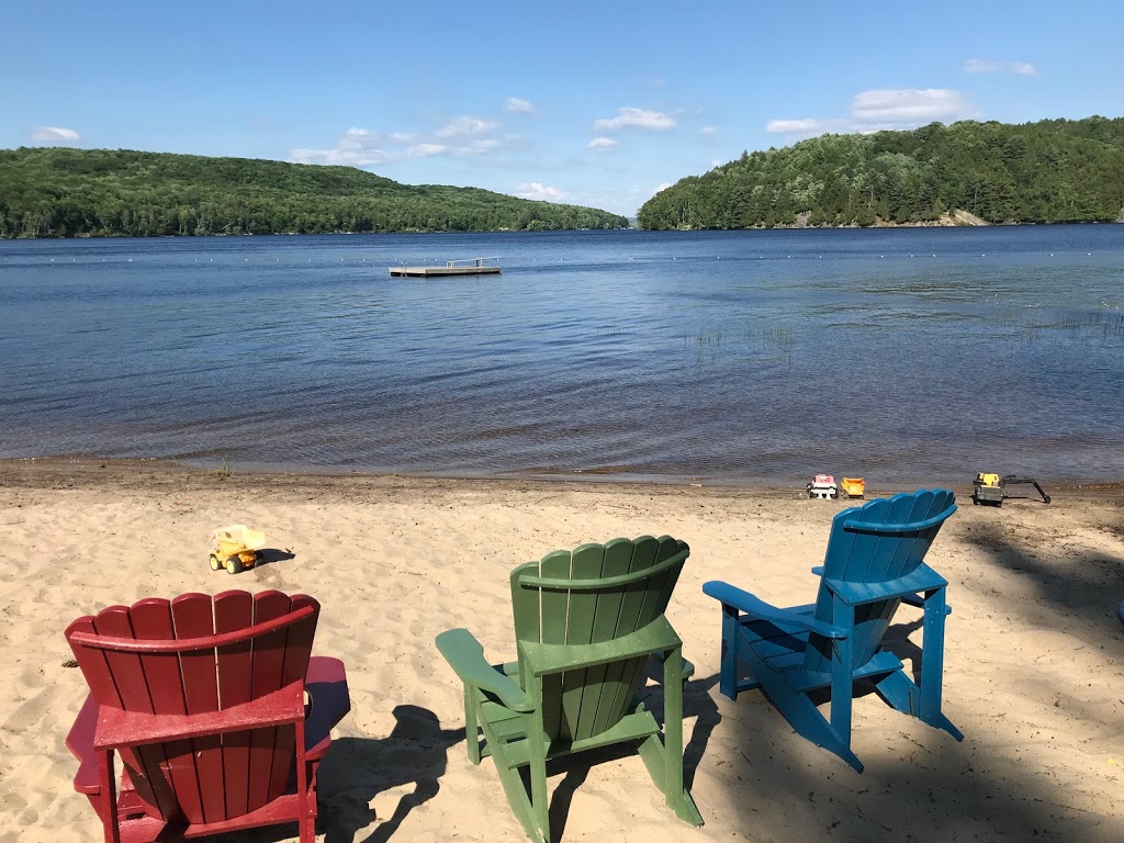 Royal LePage Lakes Of Muskoka: SEAN HILL | 395 Centre St N #100, Huntsville, ON P1H 2P5, Canada | Phone: (705) 571-6540