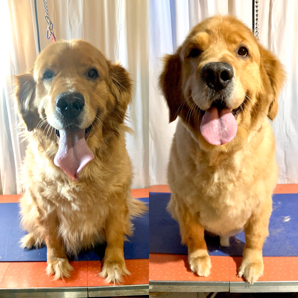 HolliePaws Grooming and Boutique | 4142 Newtonville Rd, Newtonville, ON L0A 1J0, Canada | Phone: (905) 243-6944