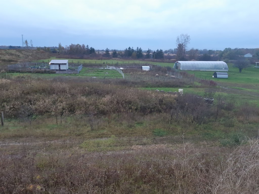 Applewood Farm | 4391 Scotland Dr, London, ON N6L 1L5, Canada | Phone: (519) 668-1515