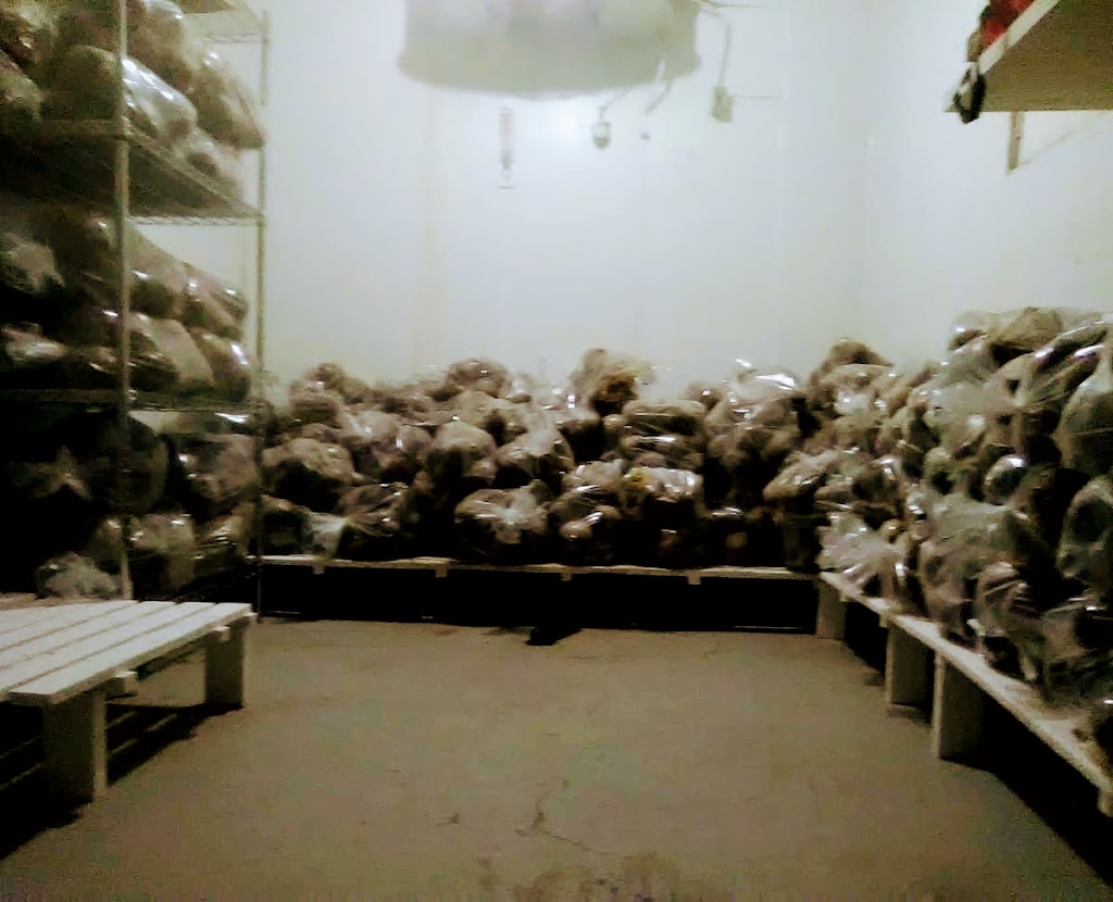 Dr Beetroot Canada Inc | 16 Main St, Saint Leon, MB R0G 2E0, Canada | Phone: (204) 997-4379