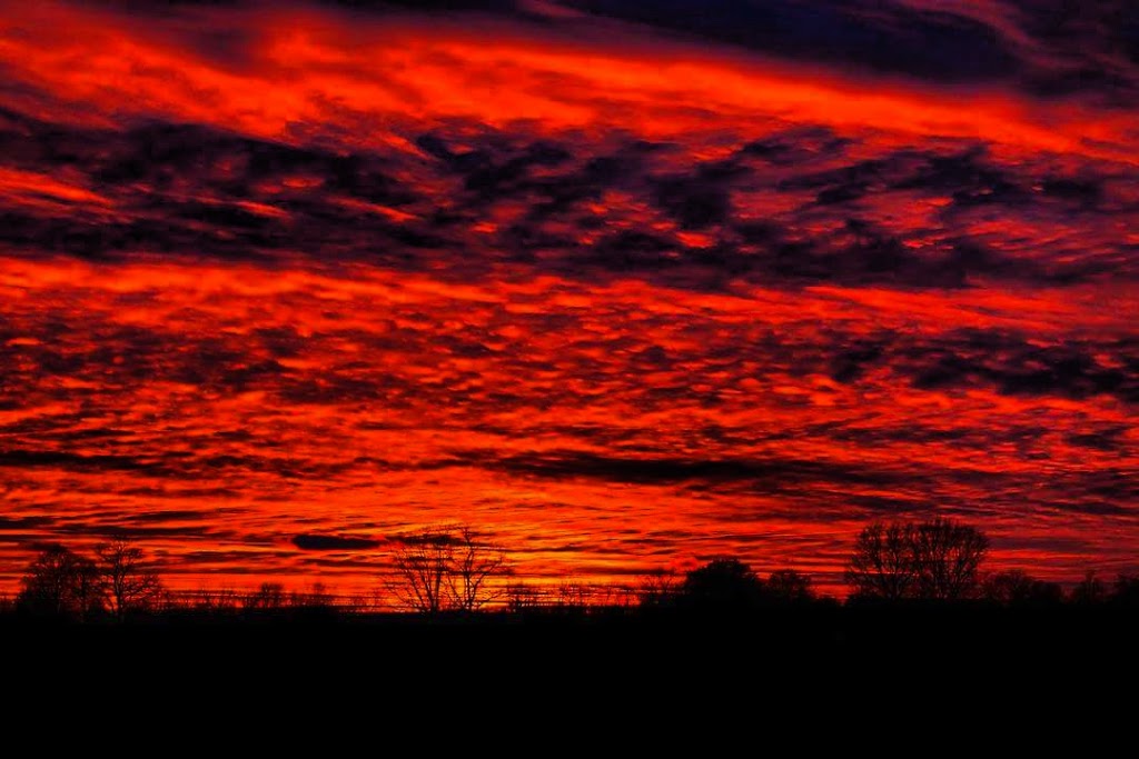 Darryl Hissem - Photographer | 704 Canboro Rd #216, Fenwick, ON L0S 1C0, Canada | Phone: (647) 709-6945