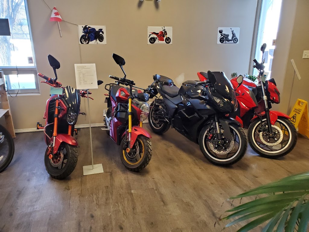 More Than Bikes | 1147 Fife St, Winnipeg, MB R2X 2N2, Canada | Phone: (204) 694-1410