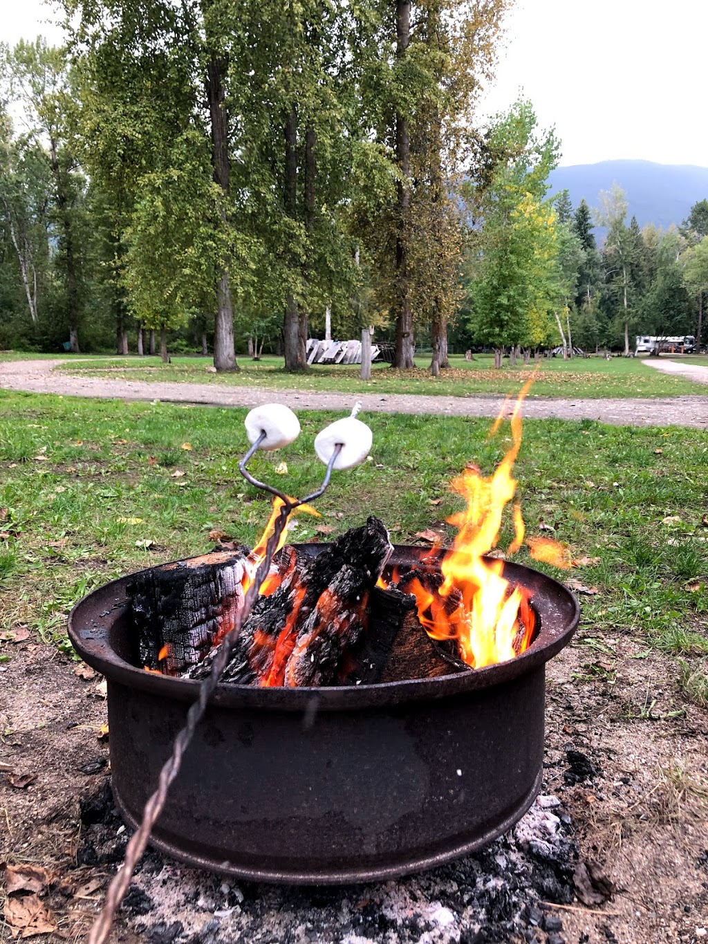 Sandy Point Beach Campground | 2100 Sandy Point Rd, Salmon Arm, BC V1E 2Z8, Canada | Phone: (250) 253-5309