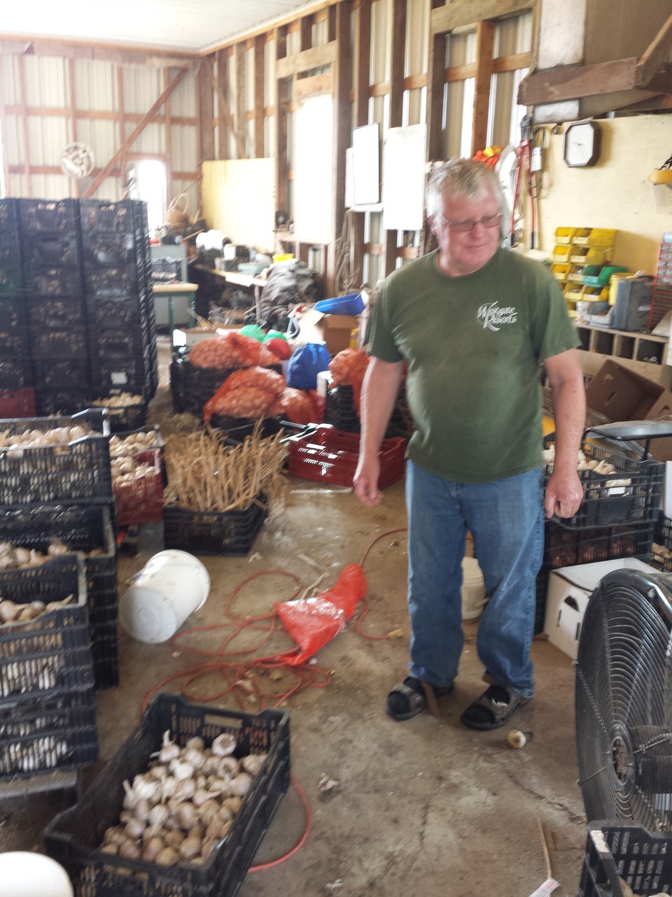 Arranhill Garlic Farm | Concession Rd 12 E, Allenford, ON N0H 1A0, Canada | Phone: (519) 270-0022