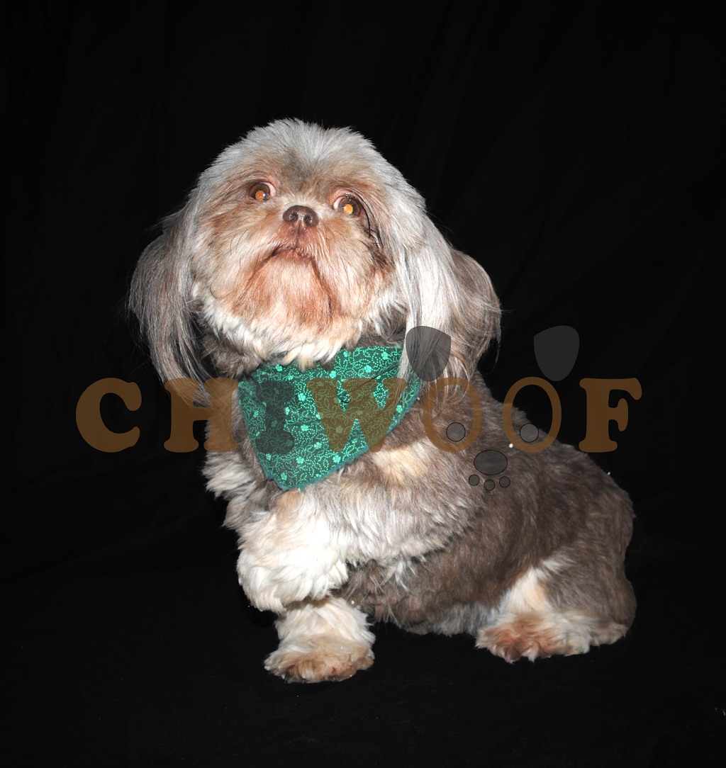Chiwoof | 1381 Rang Saint François, Saint-Jean-de-Matha, QC J0K 2S0, Canada | Phone: (450) 832-1003