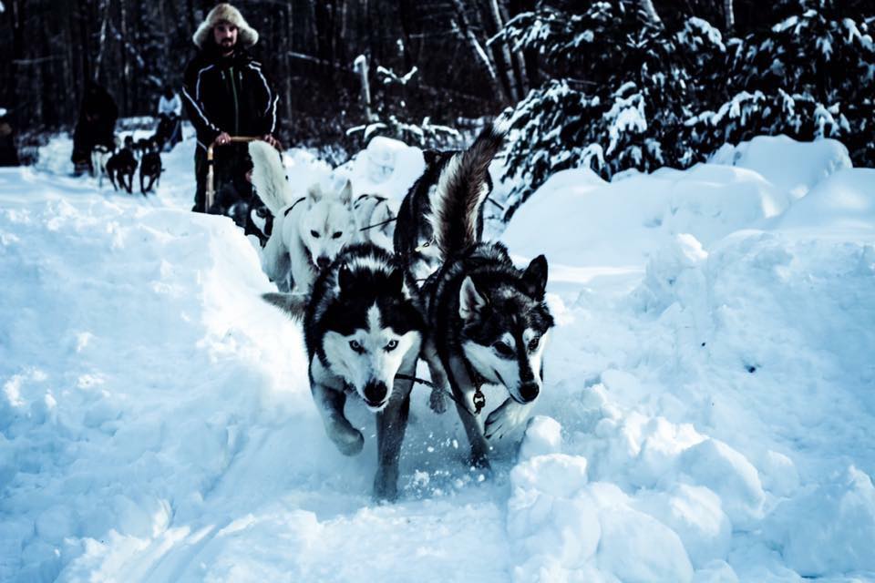 Laforce Expédition | 189 Rang du Cavreau, Lanoraie, QC J0K 1E0, Canada | Phone: (450) 917-1248