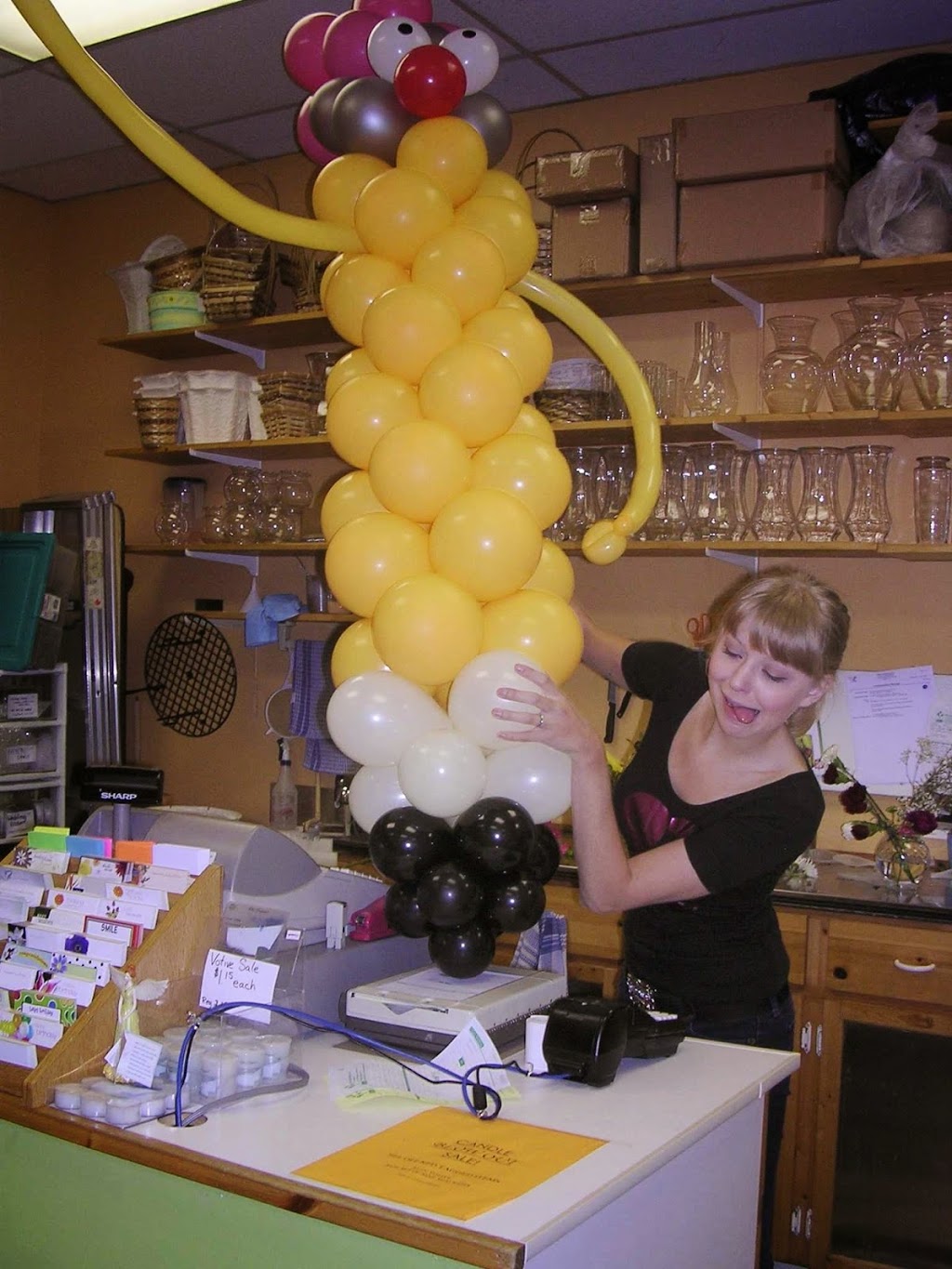 Balloon Bouquets Plus | 1795 Henderson Hwy, Winnipeg, MB R2G 1P3, Canada | Phone: (204) 339-9778