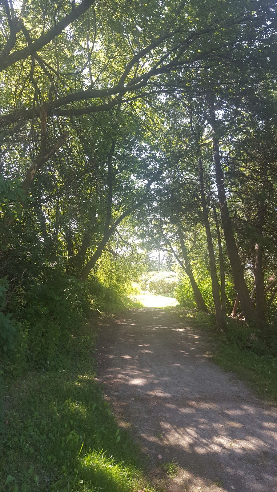 Melville Park | 201 Melville Ave, Maple, ON L6A 2E4, Canada | Phone: (905) 832-8577