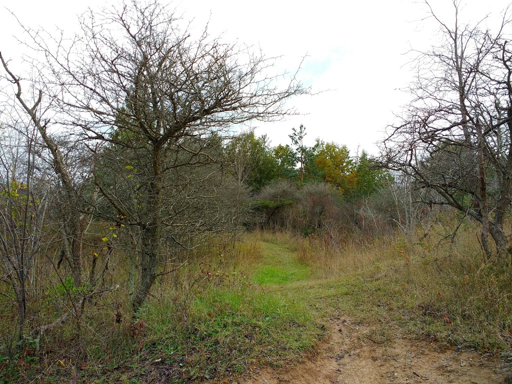 Lorne C Henderson Conservation | 3653 Petrolia Line, Petrolia, ON N0N 1R0, Canada | Phone: (519) 882-2280