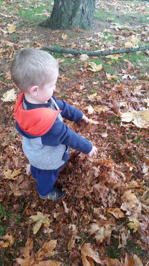Growing Rainbows Daycare | 3583 Coast Meridian Rd, Port Coquitlam, BC V3B 3N7, Canada | Phone: (604) 468-1734