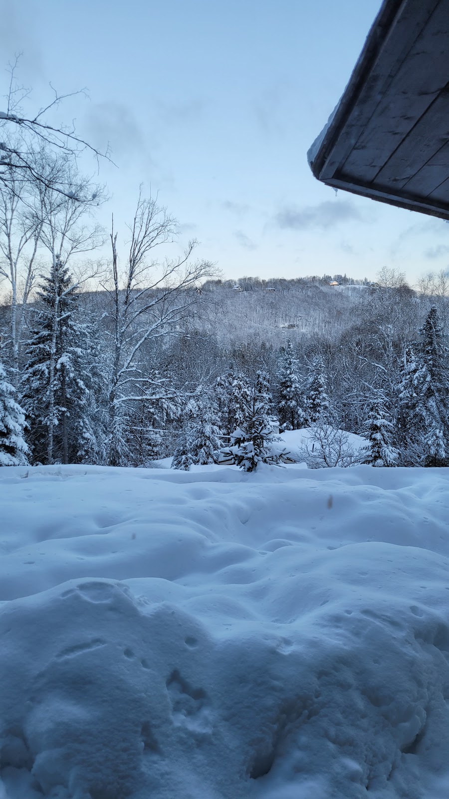 Real Estate Broker Laurentide. | 786 Chem. des Pins O, Saint-Sauveur, QC J0R 1R2, Canada | Phone: (514) 791-3366