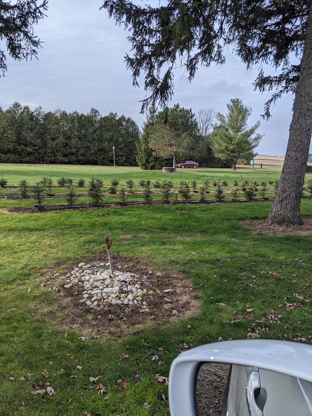 Tree Lane Farms | 13073 Twelve Mile Rd, Ilderton, ON N0M 2A0, Canada | Phone: (519) 666-0154