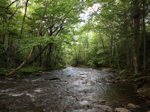 Zec JARO | 551 Route du Président-Kennedy, Saint-Théophile, QC G0M 2A0, Canada | Phone: (418) 597-3622