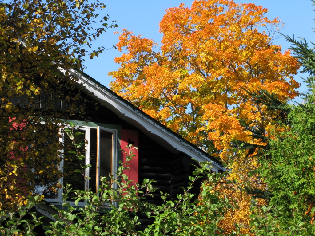 Auberge Le Lupin B&B | 127 Rue Pinoteau, Mont-Tremblant, QC J8E 1G2, Canada | Phone: (819) 425-5474