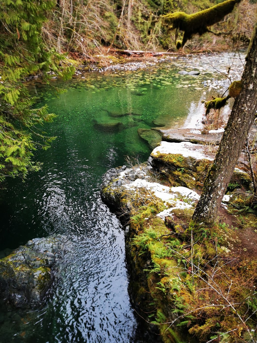 Englishman River Falls Provincial Park | 2245 Errington Rd, Errington, BC V0R 1V0, Canada | Phone: (250) 474-1336