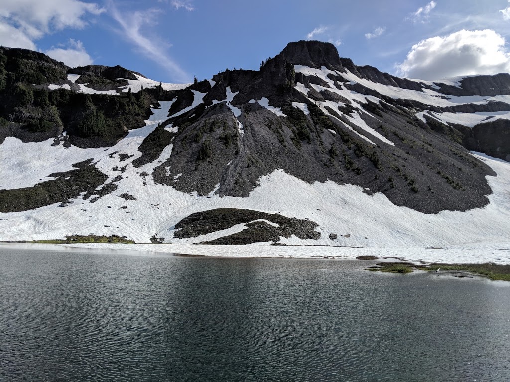 Mount Baker Visitor Center | 7509 Mt Baker Hwy, Maple Falls, WA 98266, USA | Phone: (360) 599-1518