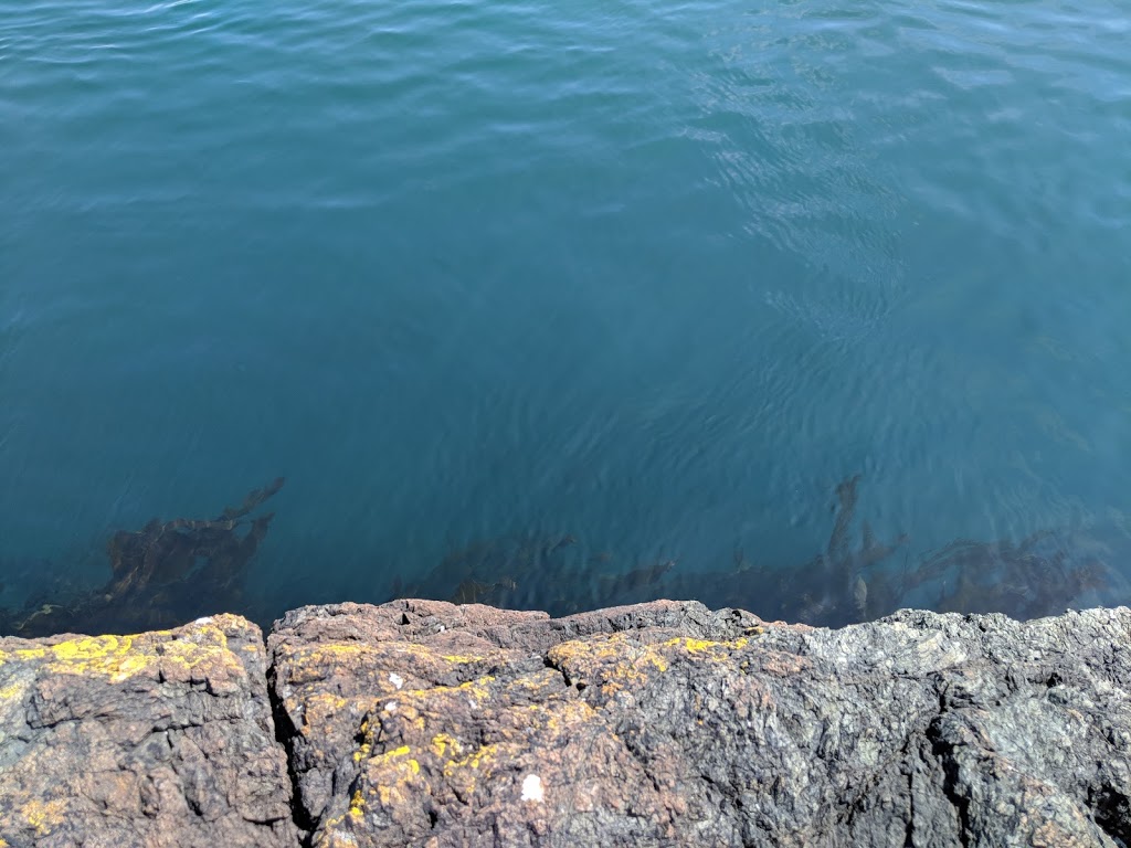 McMicking Point | 659 Radcliffe Ln, Victoria, BC V8S 5B8, Canada