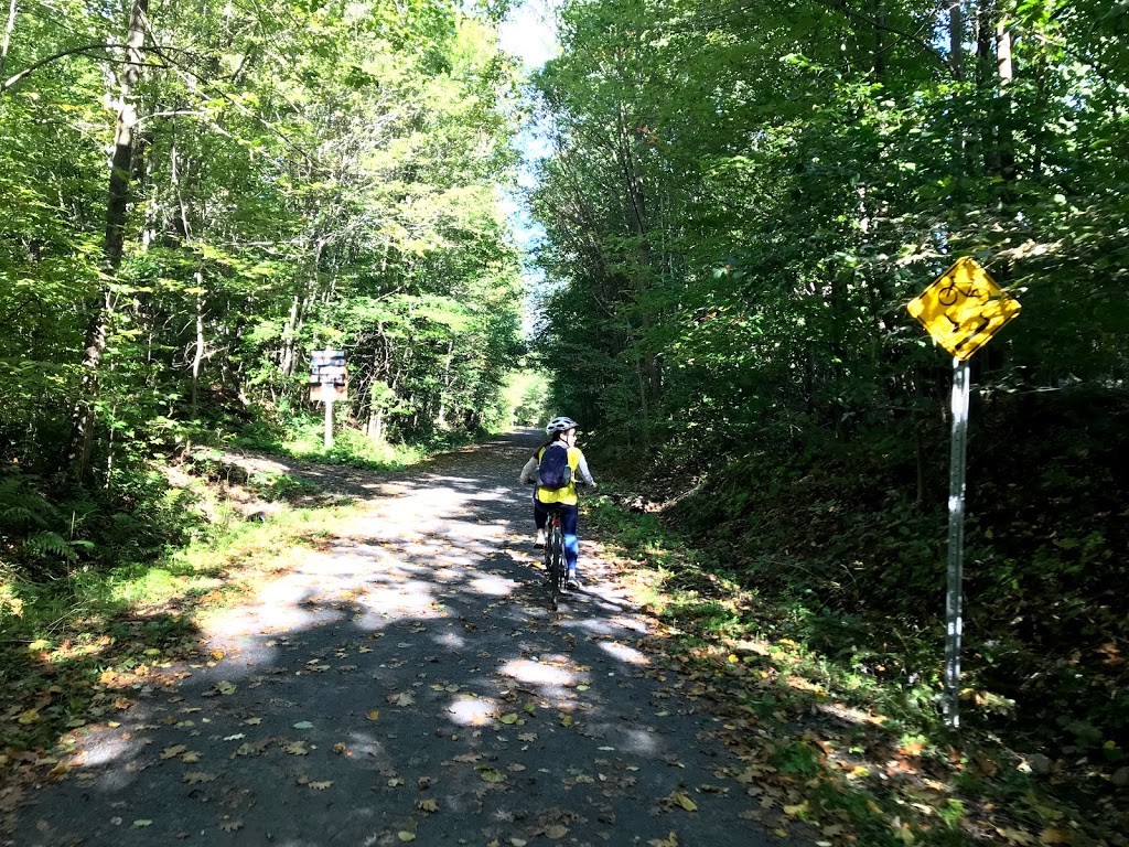 Parc Michaël-Desbiens | 337 Rue des Chutes Wilson, Saint-Jérôme, QC J7Y 5H6, Canada | Phone: (450) 436-1511