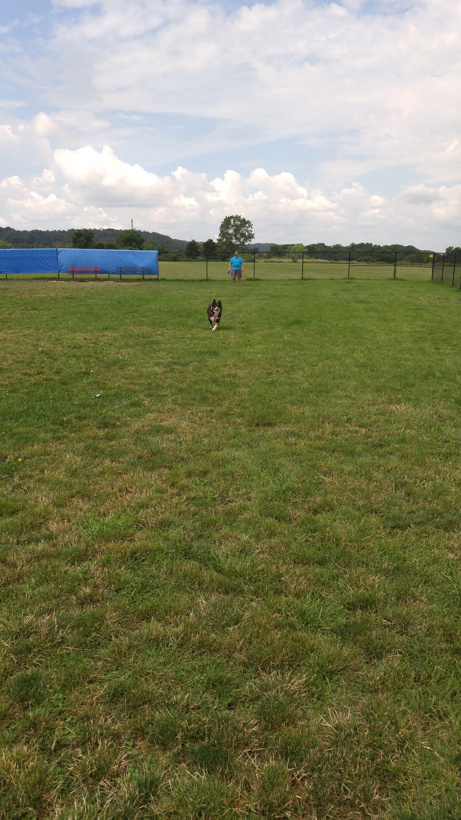 Lewiston Dog Park | Lewiston, NY 14092, USA | Phone: (716) 754-7766