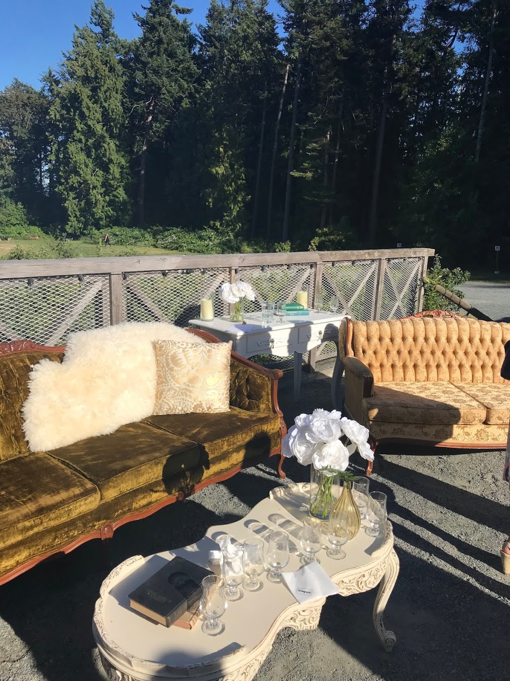 Party Mood | 4831 Golfers Dr, Duncan, BC V9L 6L3, Canada | Phone: (250) 701-3151