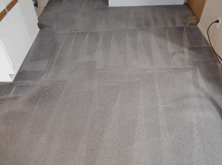 Kootenay Carpet Cleaning (+ Upholstery & Vehicle) | 2304 7th St N Unit B, Cranbrook, BC V1C 5H6, Canada | Phone: (250) 919-9200