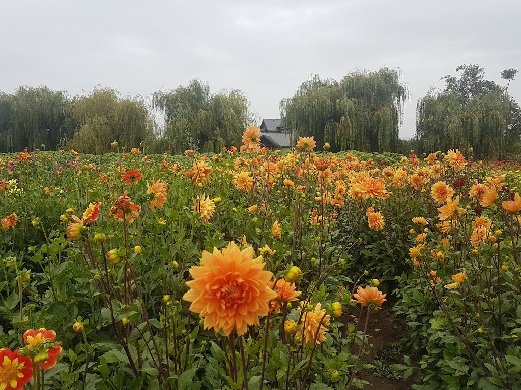 Yarrow Ecovillage | 42312 Yarrow Central Rd, Chilliwack, BC V2R 5E2, Canada | Phone: (604) 823-0232