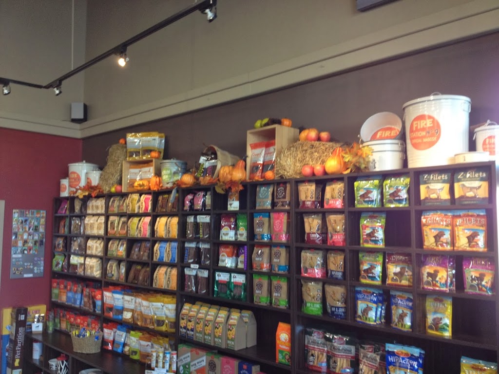 Our Dog & Company | 129 Pedersen Dr, Aurora, ON L4G 0E3, Canada | Phone: (905) 713-3489