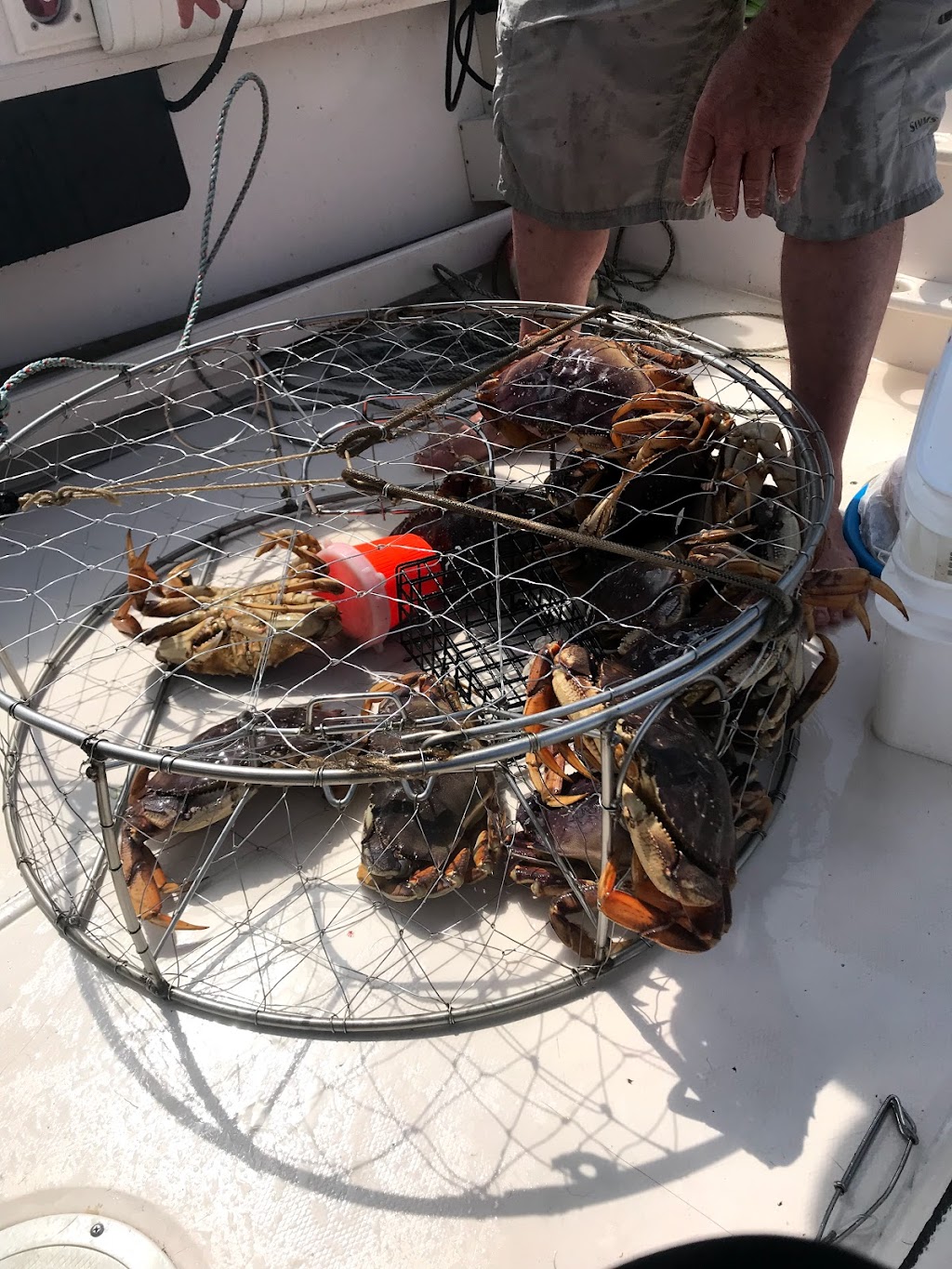 Bonefish Charters | 675 Prowse Rd, Gibsons, BC V0N 1V8, Canada | Phone: (604) 790-3474