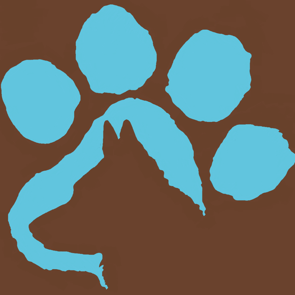 Stephs Dog Grooming | 67 Woodstock St S, Tavistock, ON N0B 2R0, Canada | Phone: (226) 749-0879
