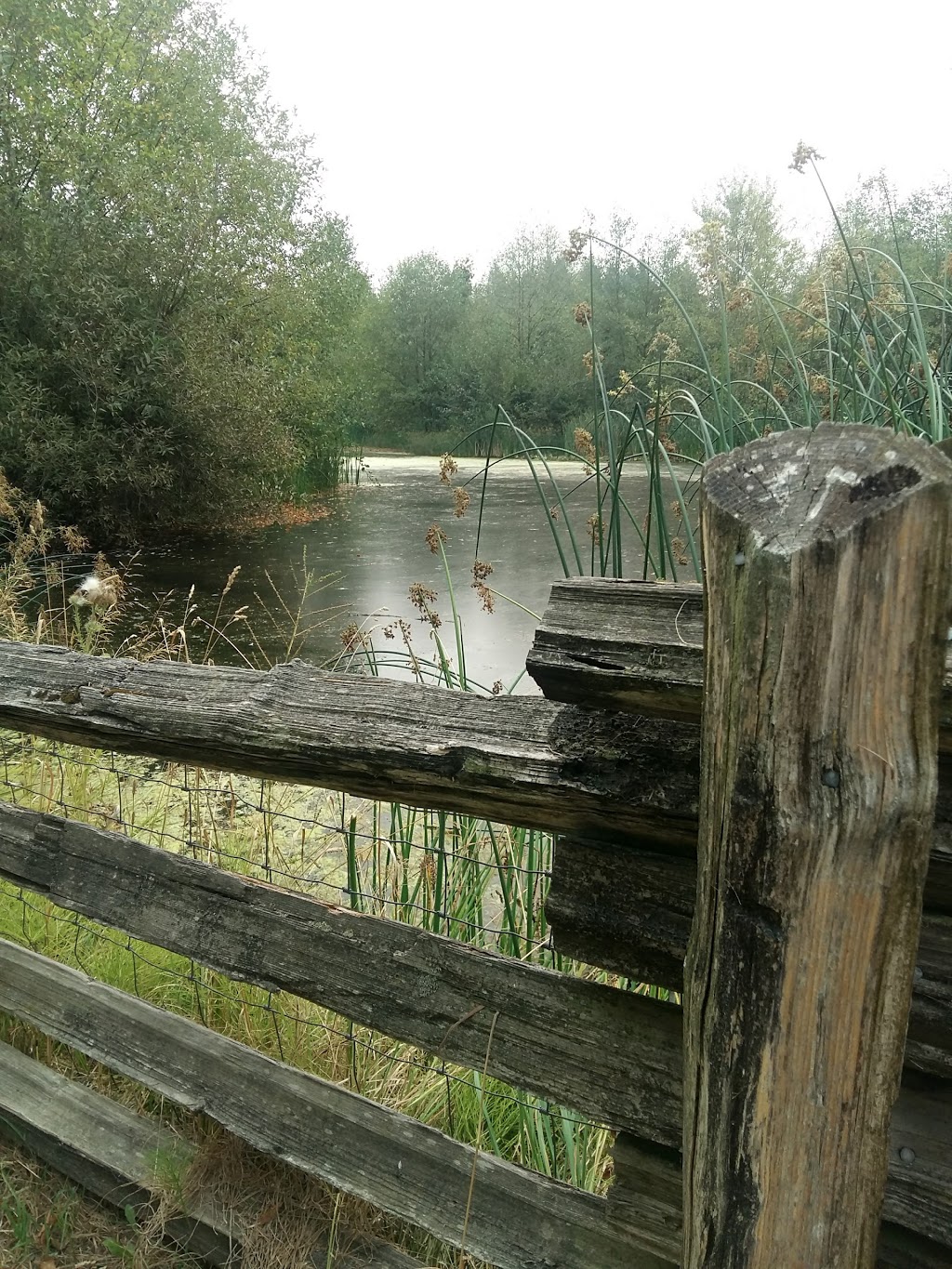 Aldergrove Regional Park | 27240 8 Ave, Aldergrove, BC V4W 2P8, Canada | Phone: (604) 530-4983
