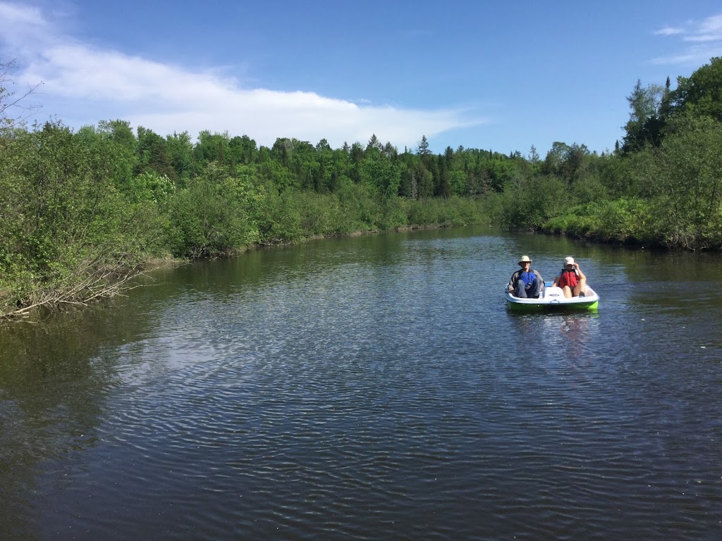 La Bouffée dAir - location vélo électrique et kayak | 362 Rte de Mansonville, Mansonville, QC J0E 1X0, Canada | Phone: (819) 919-3719
