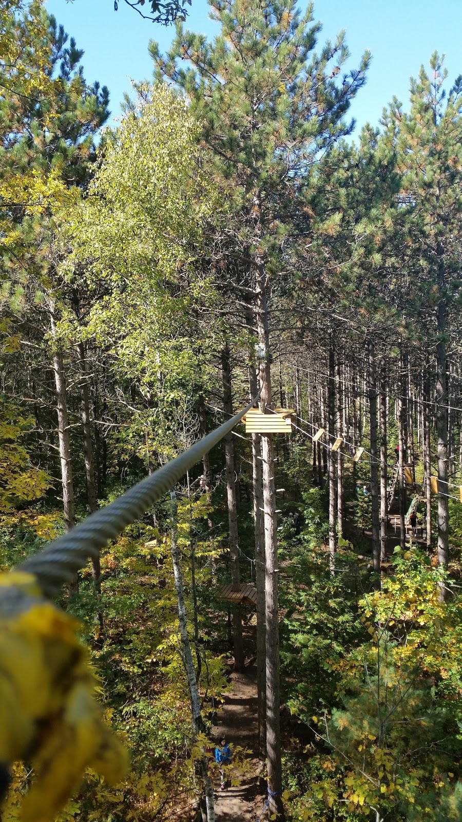 Treetop Trekking Ganaraska | 10585 Cold Springs Camp Rd, Campbellcroft, ON L0A 1B0, Canada | Phone: (905) 797-2000