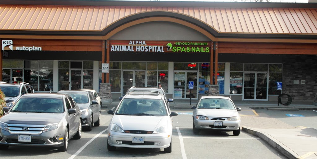 Alpha Animal Hospital | 2362 Whatcom Rd #125, Abbotsford, BC V3G 0C1, Canada | Phone: (604) 859-6322