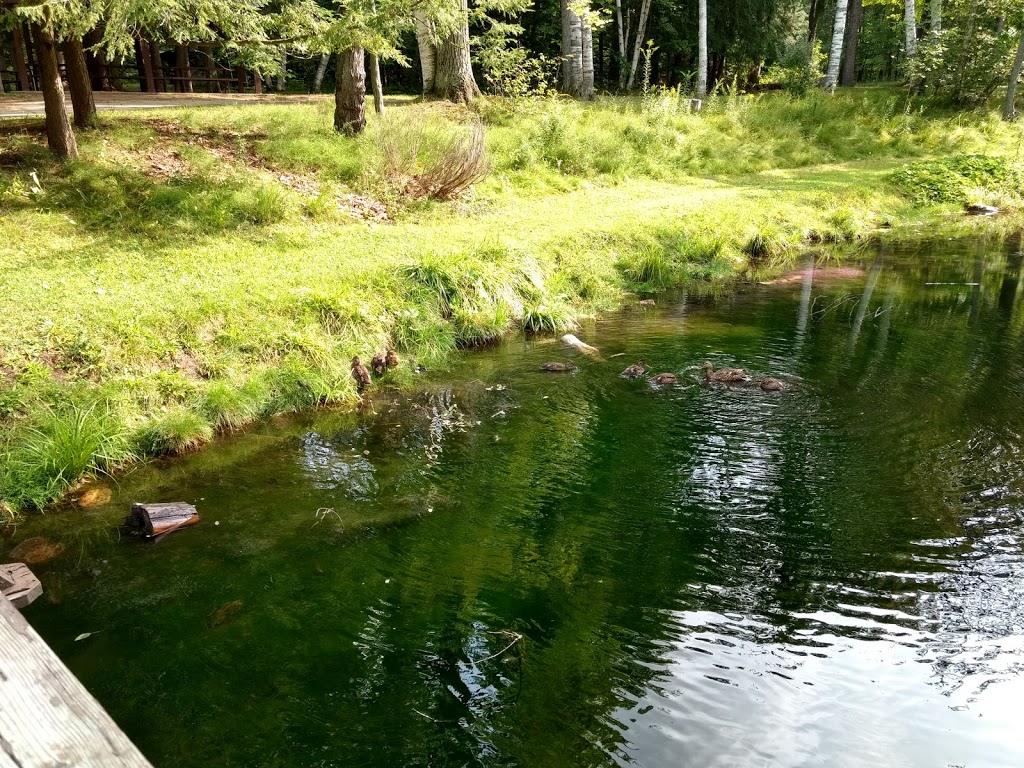 Springwater Provincial Park | 1331 ON-26, Midhurst, ON L0L 1X0, Canada | Phone: (705) 728-7393