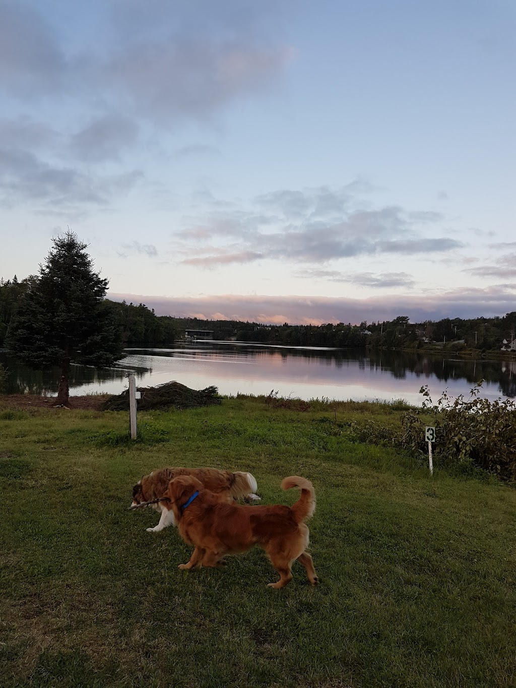 East River Lodge Campground & Trailer Park | 200 Pool Rd, Sheet Harbour, NS B0J 3B0, Canada | Phone: (902) 885-2057