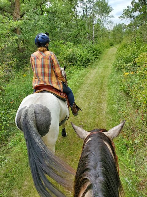 Hidden Valley Horses | 9146 Sundown Rd N, Sundown, MB R0A 2C0, Canada | Phone: (204) 326-5544
