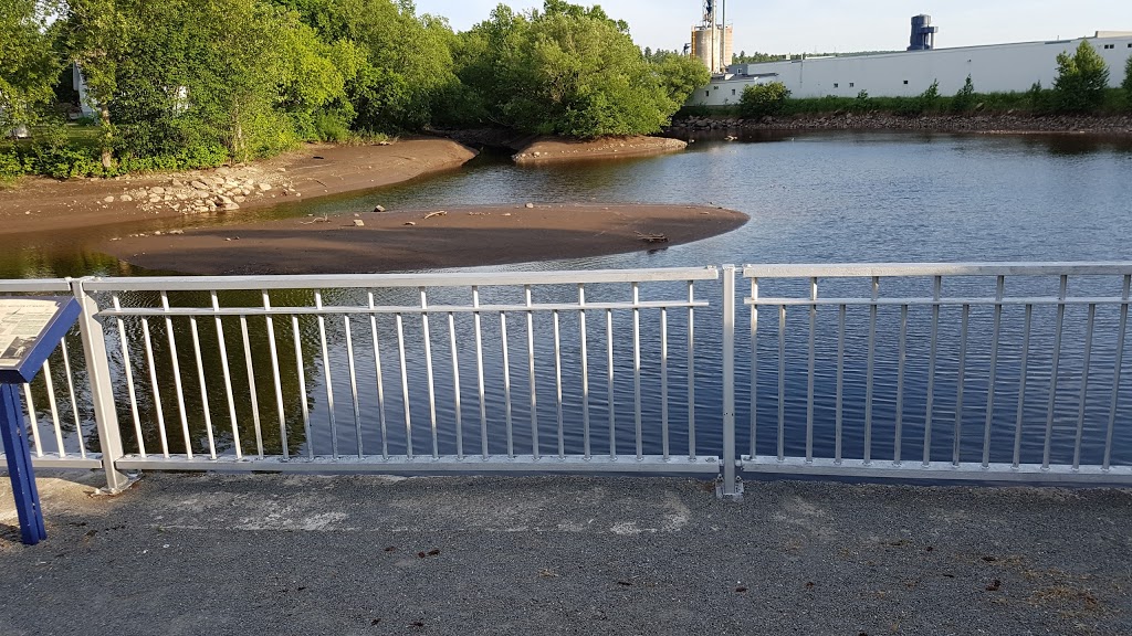 Parc Olivier-Tremblay | Rue de lÉtang, Saint-François-de-la-Rivière-du-Sud, QC G0R 3A0, Canada