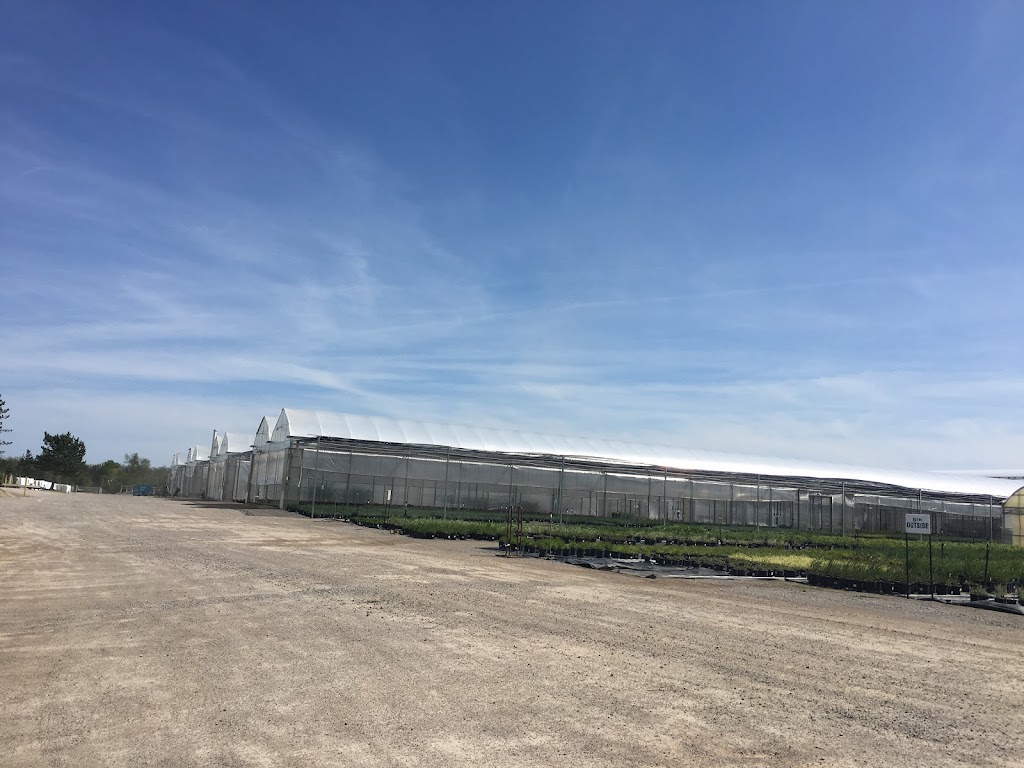 Hortico Nursery | 422 Concession 5 Rd E, Waterdown, ON L0R 2H1, Canada | Phone: (905) 689-6984