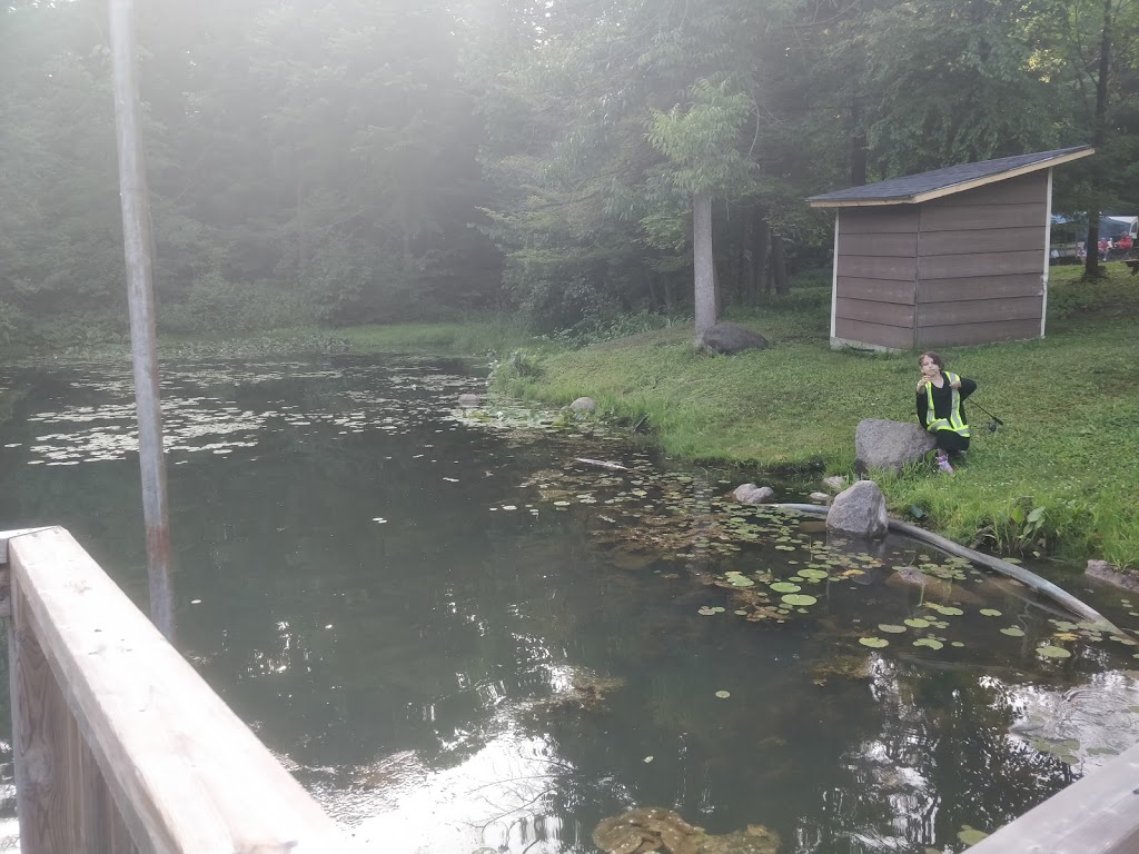 Nith River Campground | 4417 Wilmot Easthope Rd, New Hamburg, ON N3A 3S8, Canada | Phone: (519) 662-3784