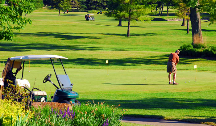 Burford Golf Links | 120 Golf Links Rd, Burford, ON N0E, Canada | Phone: (888) 833-8787