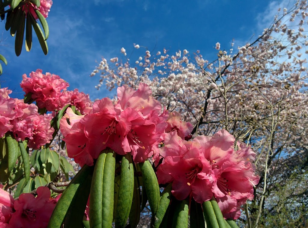 Jean Beaty Park | 3393 Point Grey Rd, Vancouver, BC V6R 1A4, Canada | Phone: (604) 873-7000
