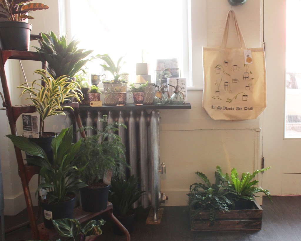 Blossom & Vine Floral Co | 156 E 11th Ave, Vancouver, BC V5T 2C2, Canada | Phone: (604) 428-2004
