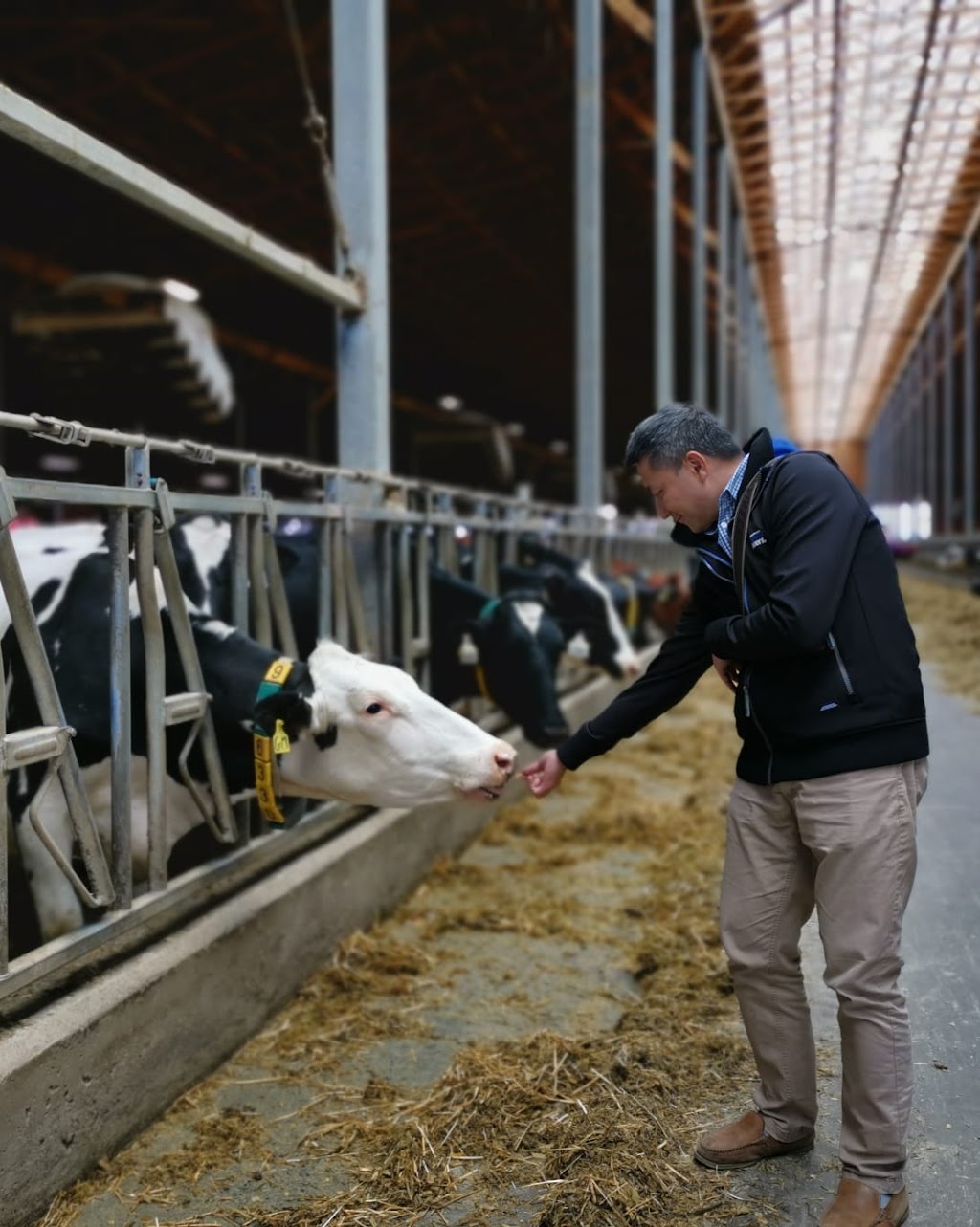 Pacific Dairy Centre Ltd | 8558 Chilliwack Mountain Rd, Chilliwack, BC V2R 3W8, Canada | Phone: (604) 852-9020